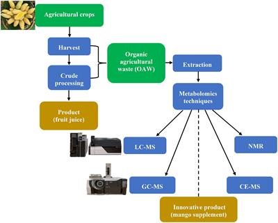 Metabolomics for <mark class="highlighted">Agricultural Waste</mark> Valorization: Shifting Toward a Sustainable Bioeconomy